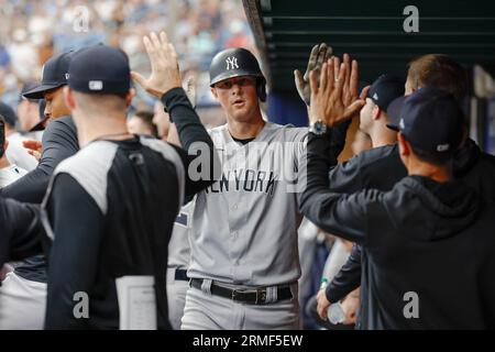 St. Petersburg, FL USA; New York Yankees third baseman DJ LeMahieu (26) is congratulated in the dugout after homering in the top of the fourth inning Stock Photo