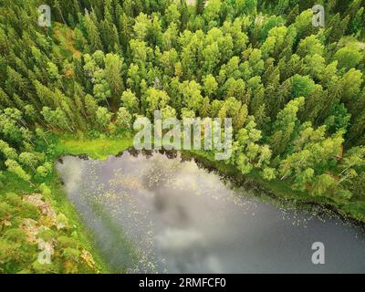 Scenic aerial view of Helgtrask lake in Sipoonkorpi national park of Finland Stock Photo