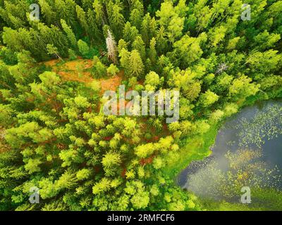 Scenic aerial view of Helgtrask lake in Sipoonkorpi national park of Finland Stock Photo