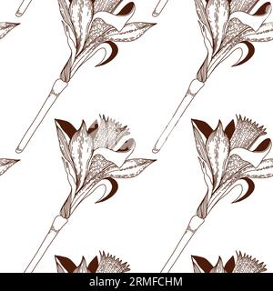 Floral pattern. Seamless pattern of daffodils drawn on a clipboard in dark brown vector. For the design of postcards, invitations, for the design of w Stock Vector