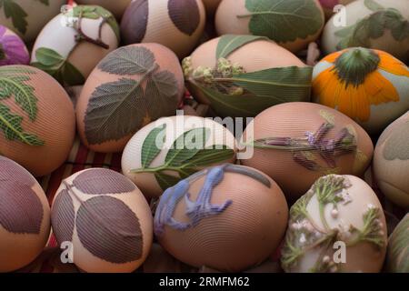 Preparation of eggs for Easter, dyeing is done with natural ingredients found in grasses and herbs Stock Photo