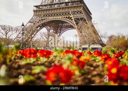 Eiffel tower seen through the flowers in Paris on a nice spring day Stock Photo