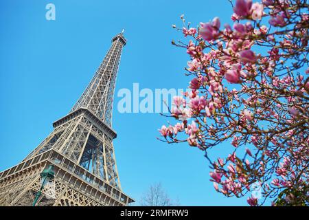 Pink Thing of The Day: Pink Eiffel Tower!