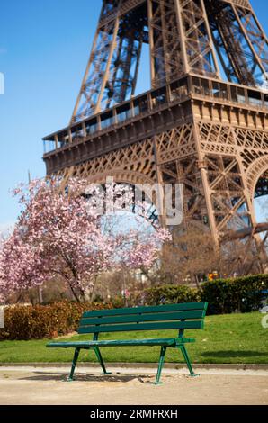 Spring in Paris. Bench near the Eiffel tower with blossoming cherry tree Stock Photo