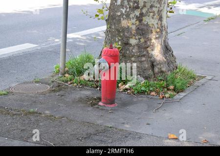 fire hydrant in the street Stock Photo
