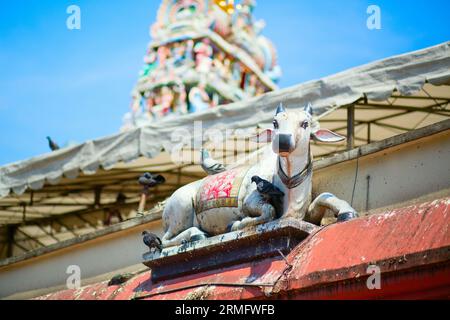 Closeup of Sri Mariamman Hindu Temple with blue sky , Singapore Stock Photo