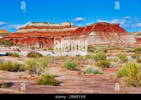 Scenic landscape with colorful sandstone formations of Paria Rimrocks in the Vermillion Cliffs, Utah, USA Stock Photo