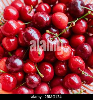 Closeup of wet fresh sweet cherries in strainer Stock Photo