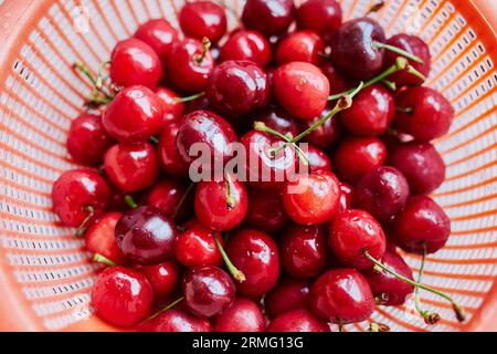 Closeup of wet fresh sweet cherries in strainer Stock Photo