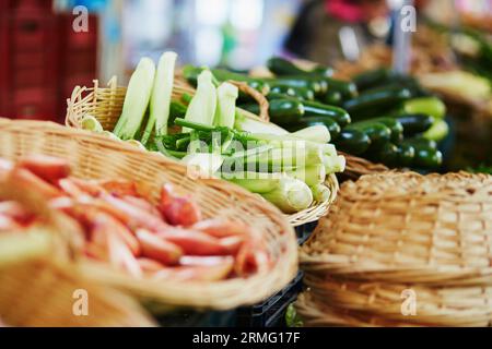 Fresh organic fennel on farmers market in Paris, France Stock Photo