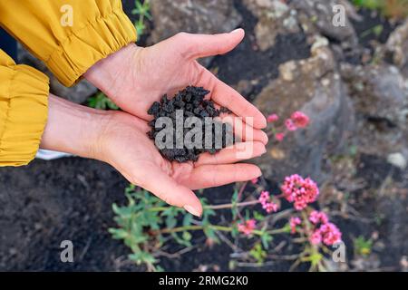 Hiking on tallest volcano in Continental Europe - Etna. Black sand lava-rocky terrain of Mount Etna in the hands of the woman. Stock Photo