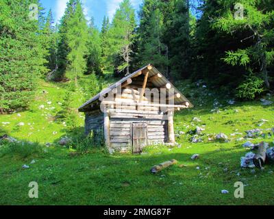 Small wooden hut on a mountain meadow above Pokljuka in Triglav national park (Slovenia) with a larch forest in the back and sun shining on the houses Stock Photo