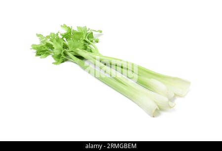 Fresh green celery stems isolated on white Stock Photo