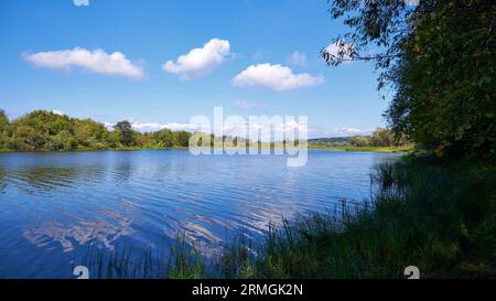 Beautiful summer landscape with trees and blue sky Stock Photo - Alamy