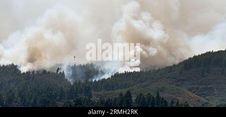 Forest fire at mountain. Smoke from a fire. Countryside forest with fire smoke from wildfire. Fire in forest spreads, natural disaster. Stock Photo