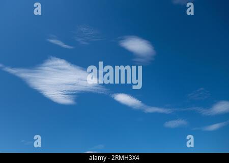 Cute wispy clouds in a blue sky. Stock Photo