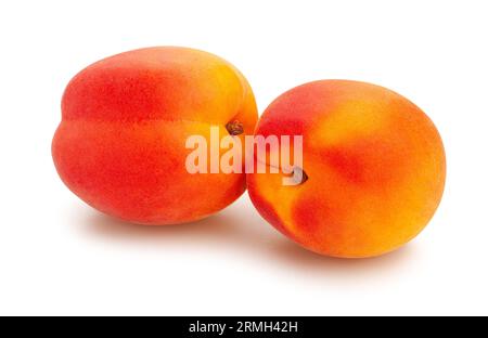 apricot path isolated on white Stock Photo