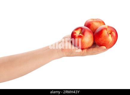 white nectarine in hand path isolated on white Stock Photo