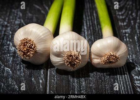 young garlic on wood background Stock Photo