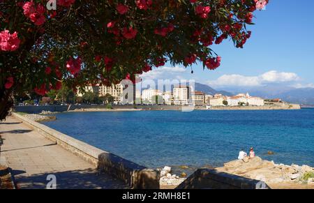 Panoramic view of the Ajaccio town with main quay and public beach and red flowers in the foreground. Ajaccio. South Corsica, France. Stock Photo