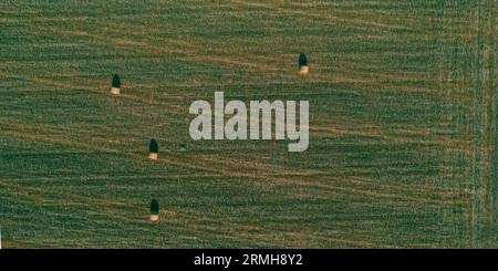 aerial photo shot of mixed cultivated and harvested rural plain land during hot season Stock Photo