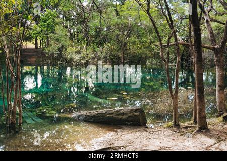 crystal clear waters of Crater Azul (Blue Crater) in northern Guatemala Stock Photo