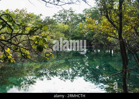 crystal clear waters of Crater Azul (Blue Crater) in northern Guatemala Stock Photo