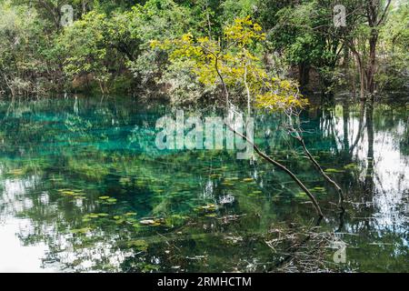 crystal clear waters of Crater Azul (Blue Crater) in northern Guatemala Stock Photo