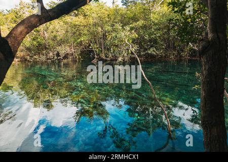 crystal clear waters of Crater Azul (Blue Crater) in northern Guatemala Stock Photo