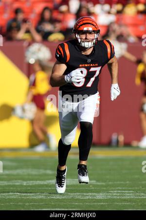 Tight end Tanner Hudson of the Cincinnati Bengals lines up against News  Photo - Getty Images