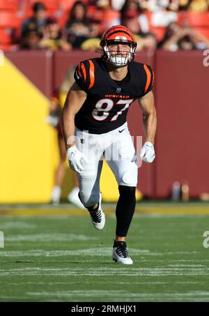 Tight end Tanner Hudson of the Cincinnati Bengals lines up against News  Photo - Getty Images