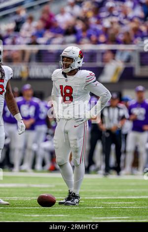 Aeneas Williams of the Arizona Cardinals Stock Photo - Alamy