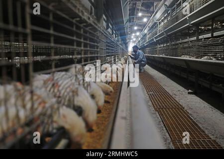 LUANNAN COUNTY, Hebei Province, China - March 17, 2020: The workers are loading feed in a processing plant. Stock Photo