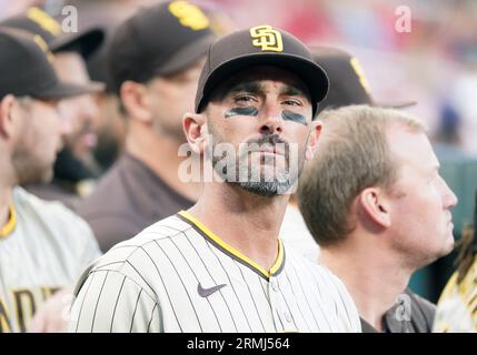 San Diego Padres designated hitter Nelson Cruz hits a single in the eighth  inning during a baseball game against the New York Mets, Wednesday, April  12, 2023, in New York. (AP Photo/Bebeto