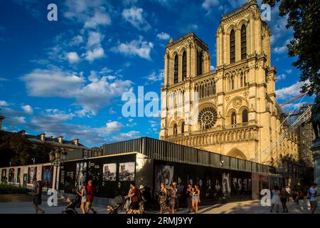 FRANCE. PARIS (75) 4TH ARRONDISSEMENT. THE RECONSTRUCTION SITE (AUGUST 2023) OF NOTRE-DAME CATHEDRAL, ON THE ILE DE LA CITE, AFTER THE FIRE OF APRIL 2 Stock Photo