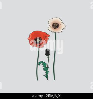 Types of Flower vector outline on a white Background Stock Vector