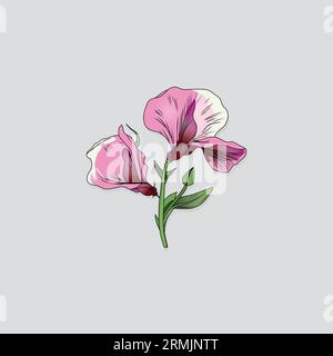 Types of Flower vector outline on a white Background Stock Vector