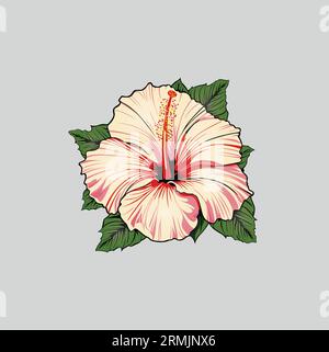 Tropical Flower vector outline on a white Background Stock Vector