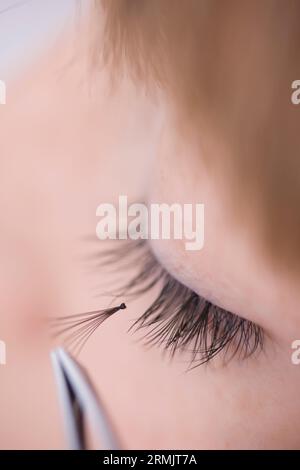 Close up of young woman applying individual eyelash with tweezers Stock Photo