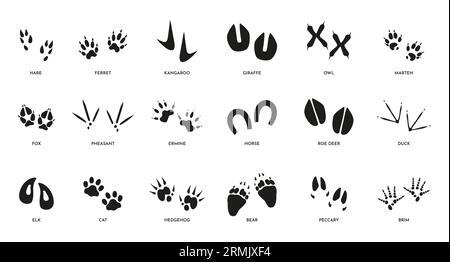 Animal footsteps. Horse fox bear and cat paw track silhouettes, wildlife black footprint icons on white. Vector isolated collection. Different trace shapes in nature, step imprints set Stock Vector