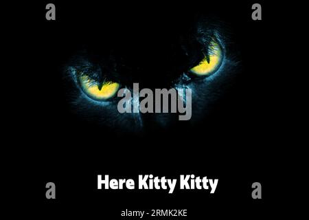 Here Kitty Kitty Design - Amazing scary eyes on a cat on a black background Stock Photo