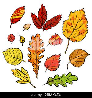 Autumn Leaves sketch set. Hand-drawn color textured herbs on white background. Doodle plants collection. Nature, gardening, forest, fall sign. Leaf of Stock Vector