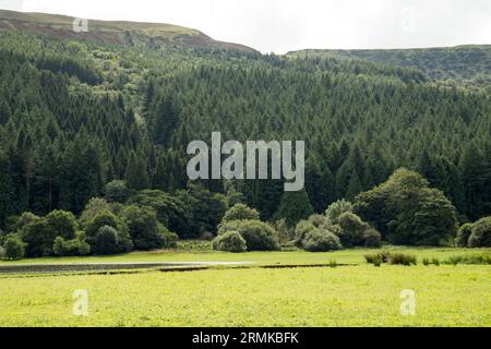 Glyn Collwn Pontsticill Reservoir  Brecon Beacons Bannau Brycheiniog   Wales Stock Photo