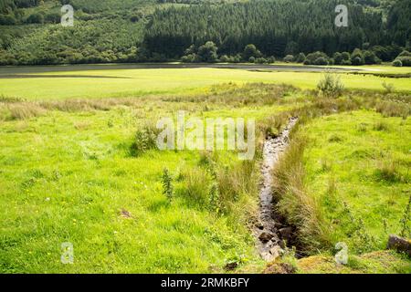 Glyn Collwn Pontsticill Reservoir  Brecon Beacons Bannau Brycheiniog   Wales Stock Photo