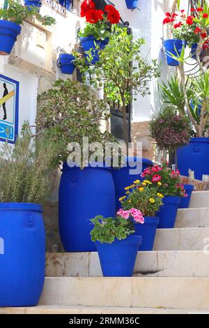 The house with the blue pots, bold hand painted blue pots contrast with flowers, foliage and white painted brickwork on houses in Alicante, Spain. Stock Photo