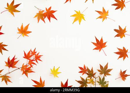Autumnal concept with colorful fall leaves on white background. Flat lay. Thanksgiving day concept. Stock Photo