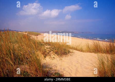 Dunes in Valdearenas beach. Dunas de Liencres Nature Reserve, Cantabria, Spain. Stock Photo