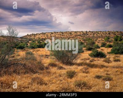 panoramic view of tabernas desert sierrra nevada in spain Stock Photo