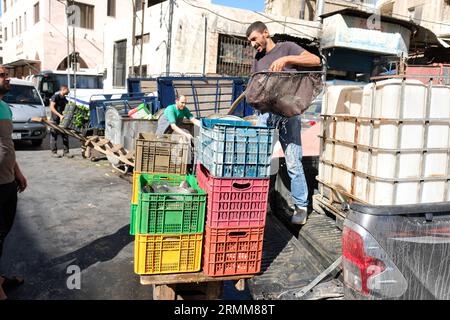 Amman Jordan local market trader unloads fresh fish from a water tank on a truck for sale in nearby local souk taken August 2023 Stock Photo