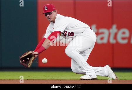 St. Louis, United States. 28th Aug, 2023. St. Louis Cardinals Nolan Gorman dives to his right to snag a ground ball off the bat of San Diego Padres Trent Grisham in the fifth inning at Busch Stadium in St. Louis on Monday, August 28, 2023. Photo by Bill Greenblatt/UPI Credit: UPI/Alamy Live News Stock Photo